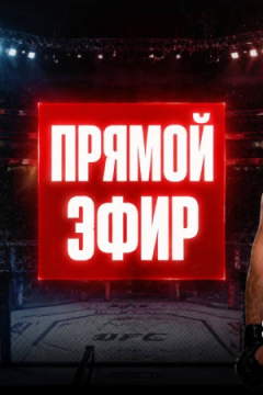 UFC 328 Хамзат Чимаев vs Шон Стрикленд