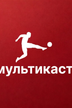 Бундеслига / СИМУЛКАСТ / МУЛЬТИКАСТ / 4 матча в одном эфире