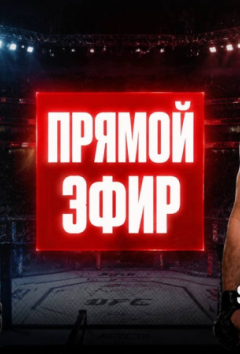 UFC 328 Хамзат Чимаев vs Шон Стрикленд